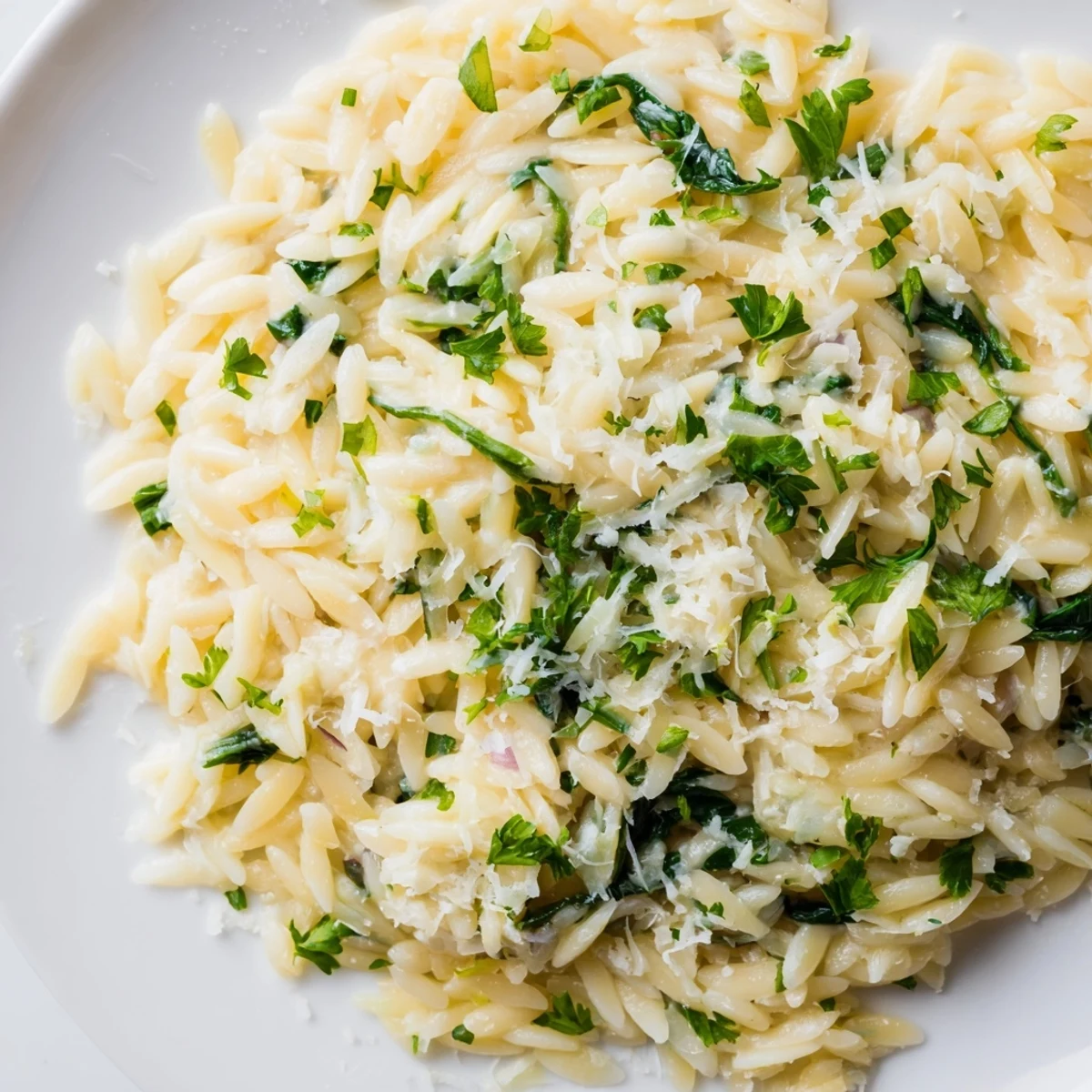 Steaming bowl of One-Pot Creamy Orzo, garnished with fresh parsley and Parmesan for a rich flavor.